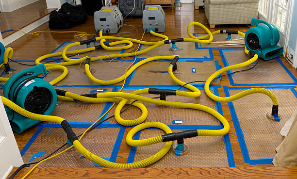 Professional Sewage Cleanup technician working in Camden, OH